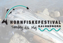 Hornfiskefestival 2021