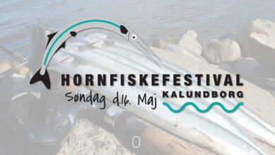 Hornfiskefestival 2021