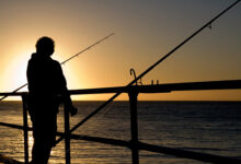 Alt om fiskeri - kystfiskeri
