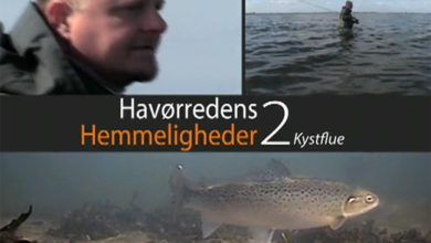 Havørredens hemmeligheder 2