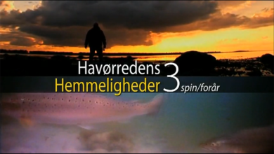 Havørredens hemmeligheder 3